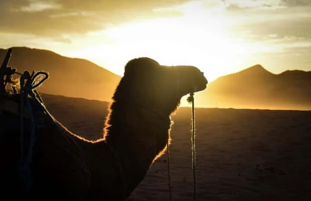 43b827a1d7c79bd4 Voyageo Tours