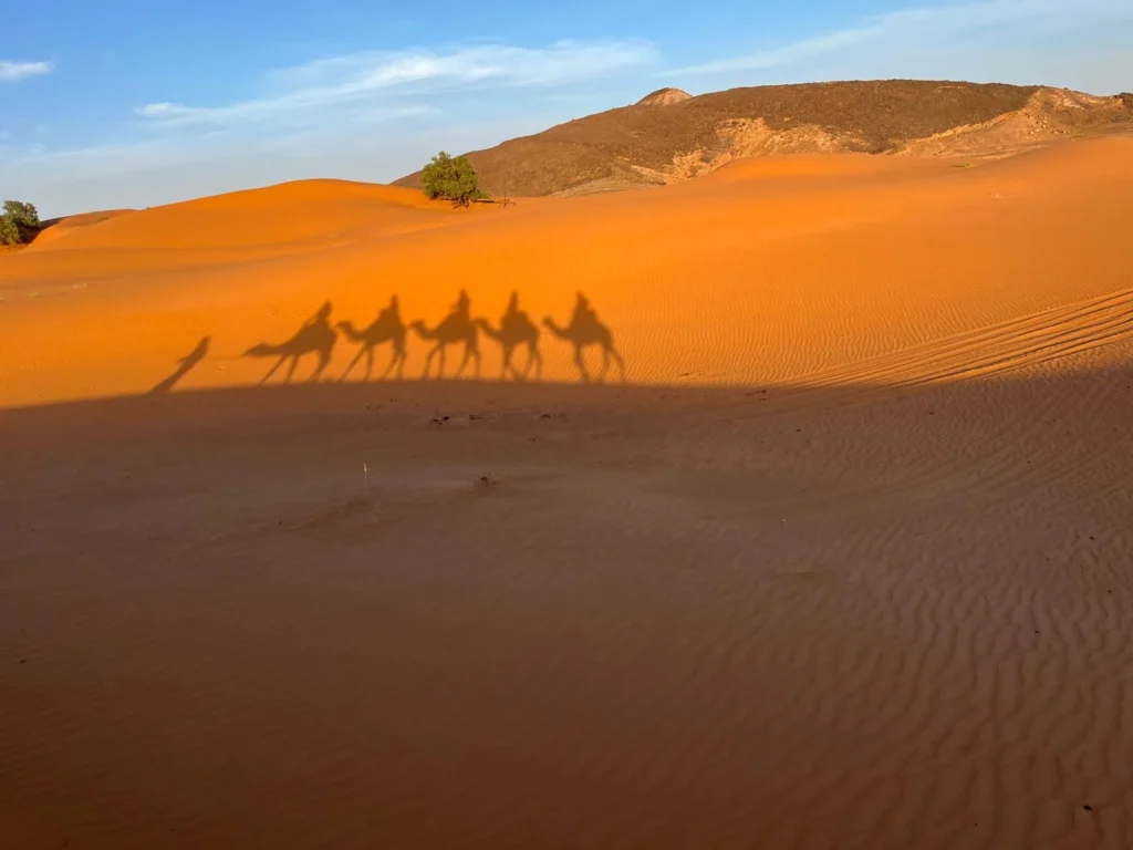 IMG 2772 Copy Voyageo Tours